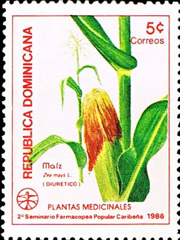 ENDA Caribe - Plantas medicinales