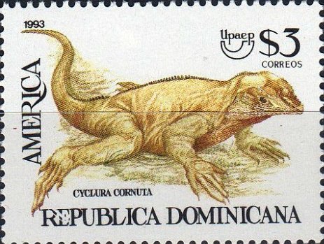 Iguana cornuda o iguana rinoceronte