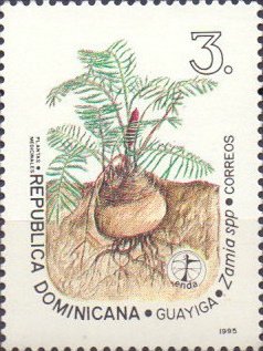 ENDA Caribe - Plantas medicinales