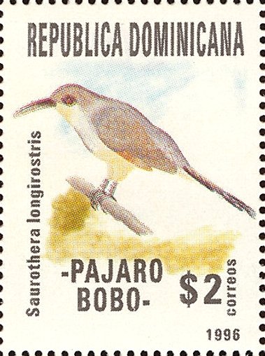 Pájaro Bobo