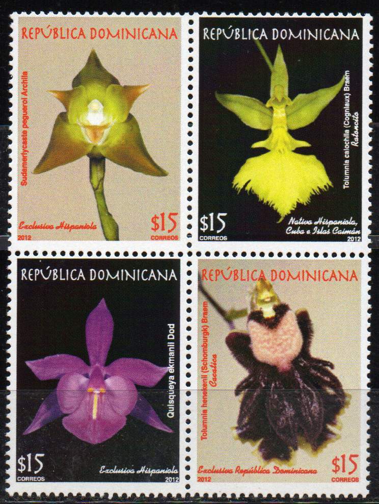 Flora dominicana - Orquídeas.