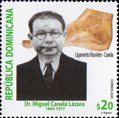 2020-Dr.-Miguel-Canela-Lazaro