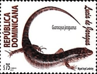 2025 Lucia de Jaragua (Guarocuyus jaraguanus)