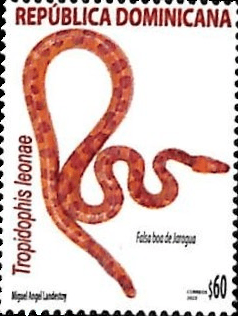 2025 falsa boa de Jaragua