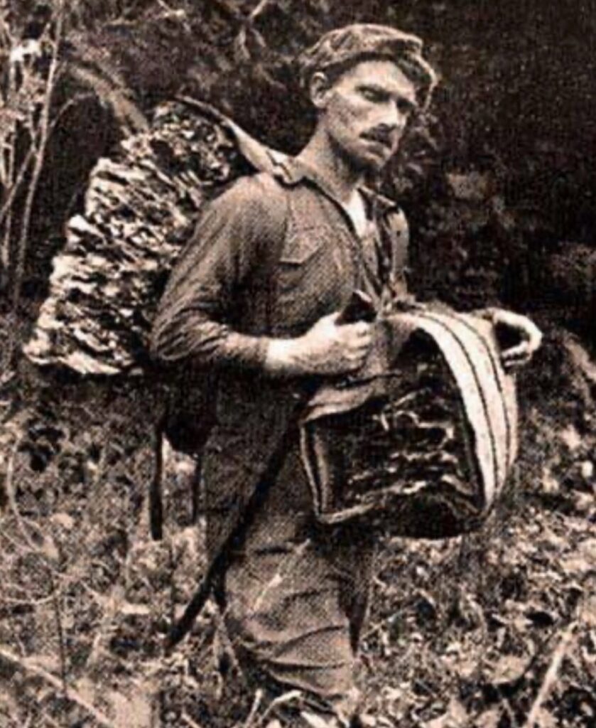 Ekman collecting2